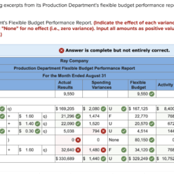 Ray company provided the following excerpts