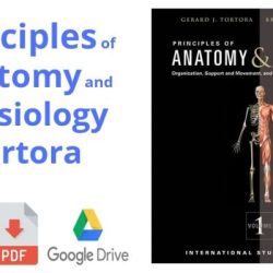 Holes human anatomy and physiology 16th edition