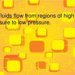 Section 13.1 fluid pressure pages 390-393 answer key