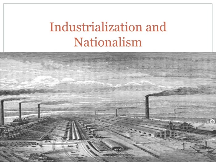 Guided reading activity industrialization and nationalism